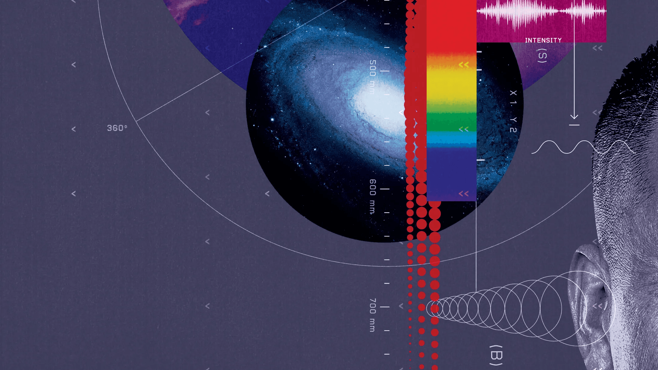 Rhinos Go Radioactive, Peptides' Risky Rise, and Hidden Labor in AI