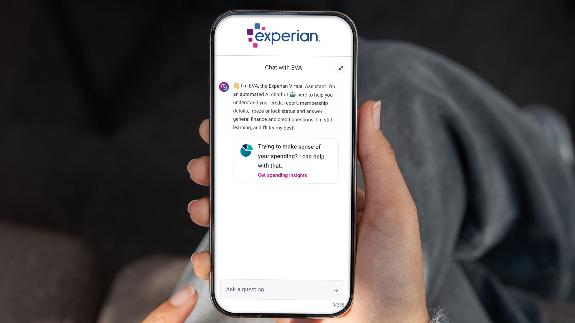 Experian's AI Assistant: A Brave New World in Consumer Finance