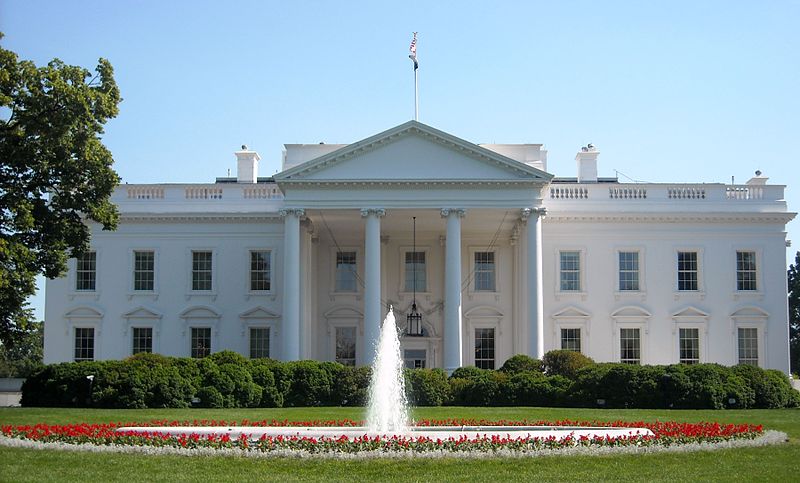 Government Eyes AI Stakes: What's the Play?