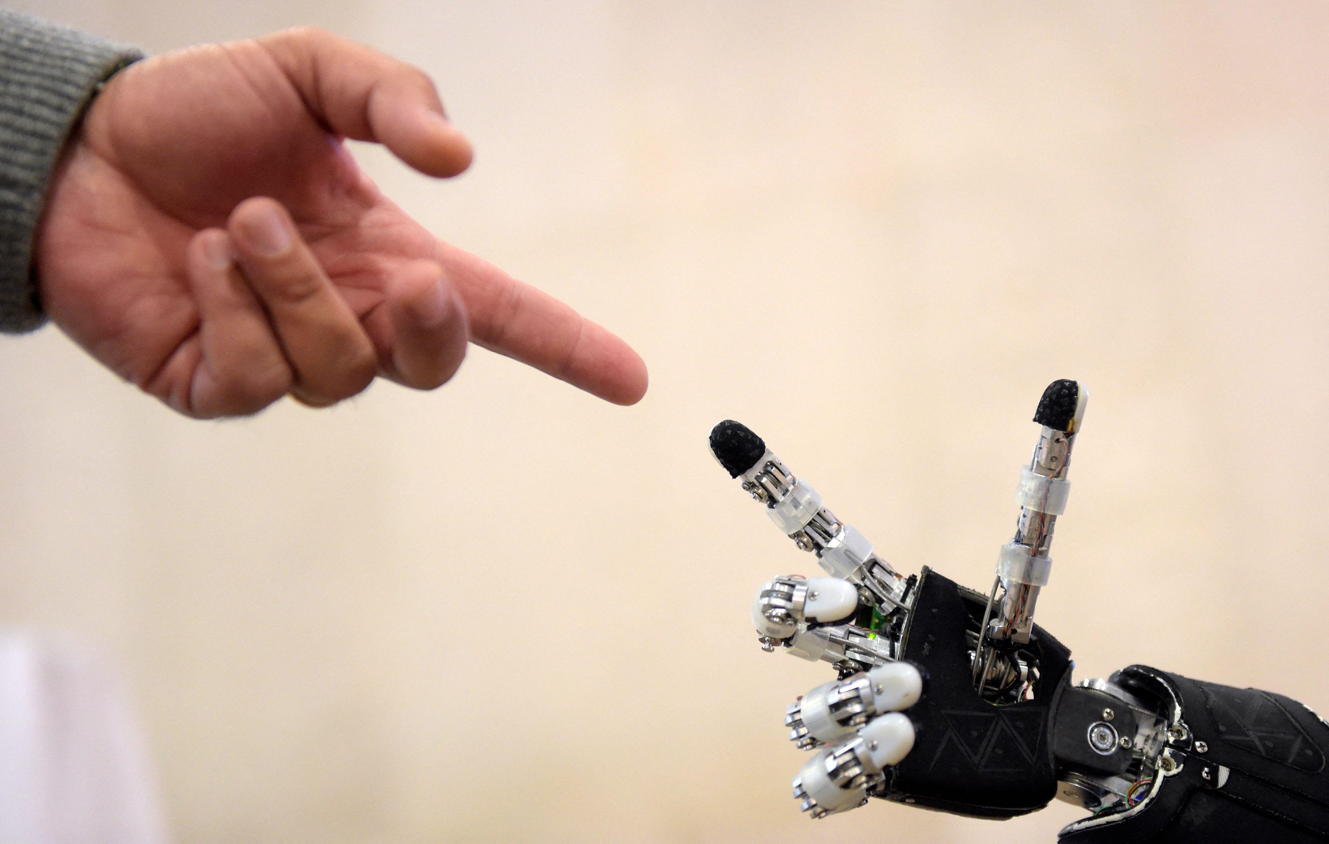 AI Layoffs: Short-Term Pain, Long-Term Gain?