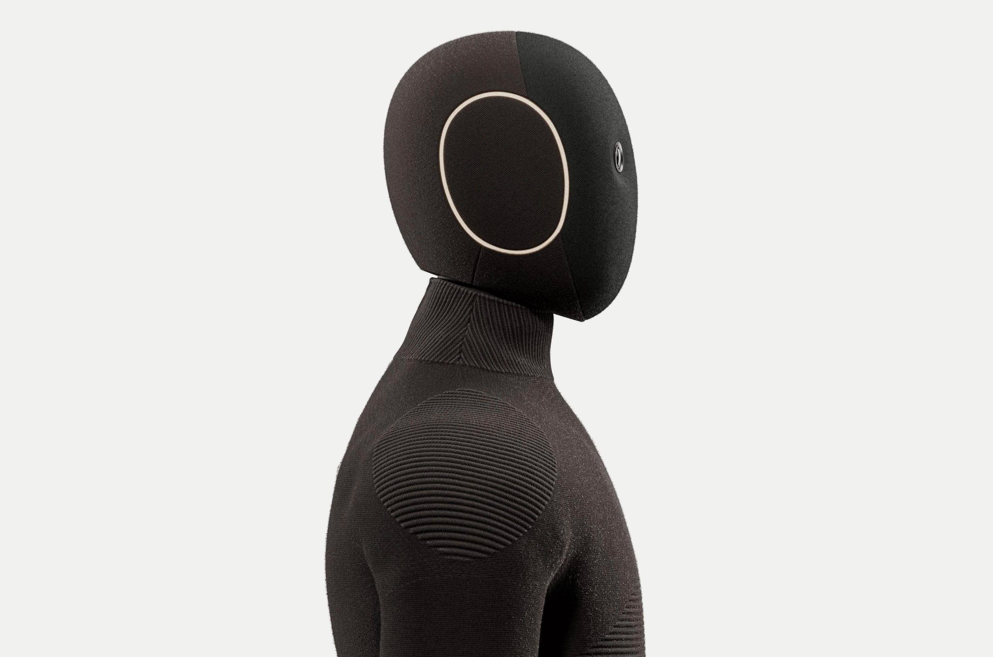 The Road to Truly Autonomous Humanoid Robots