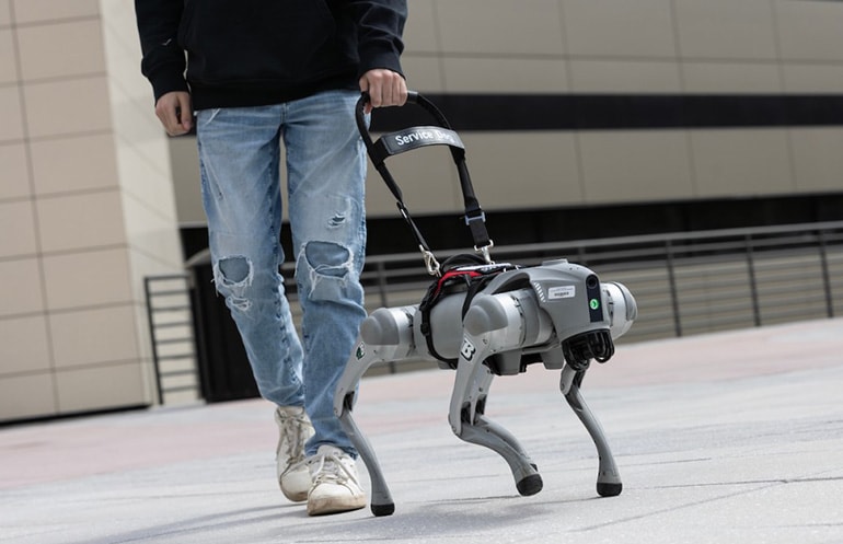 Robotic Guide Dogs: Talking Canines for the Visually Impaired