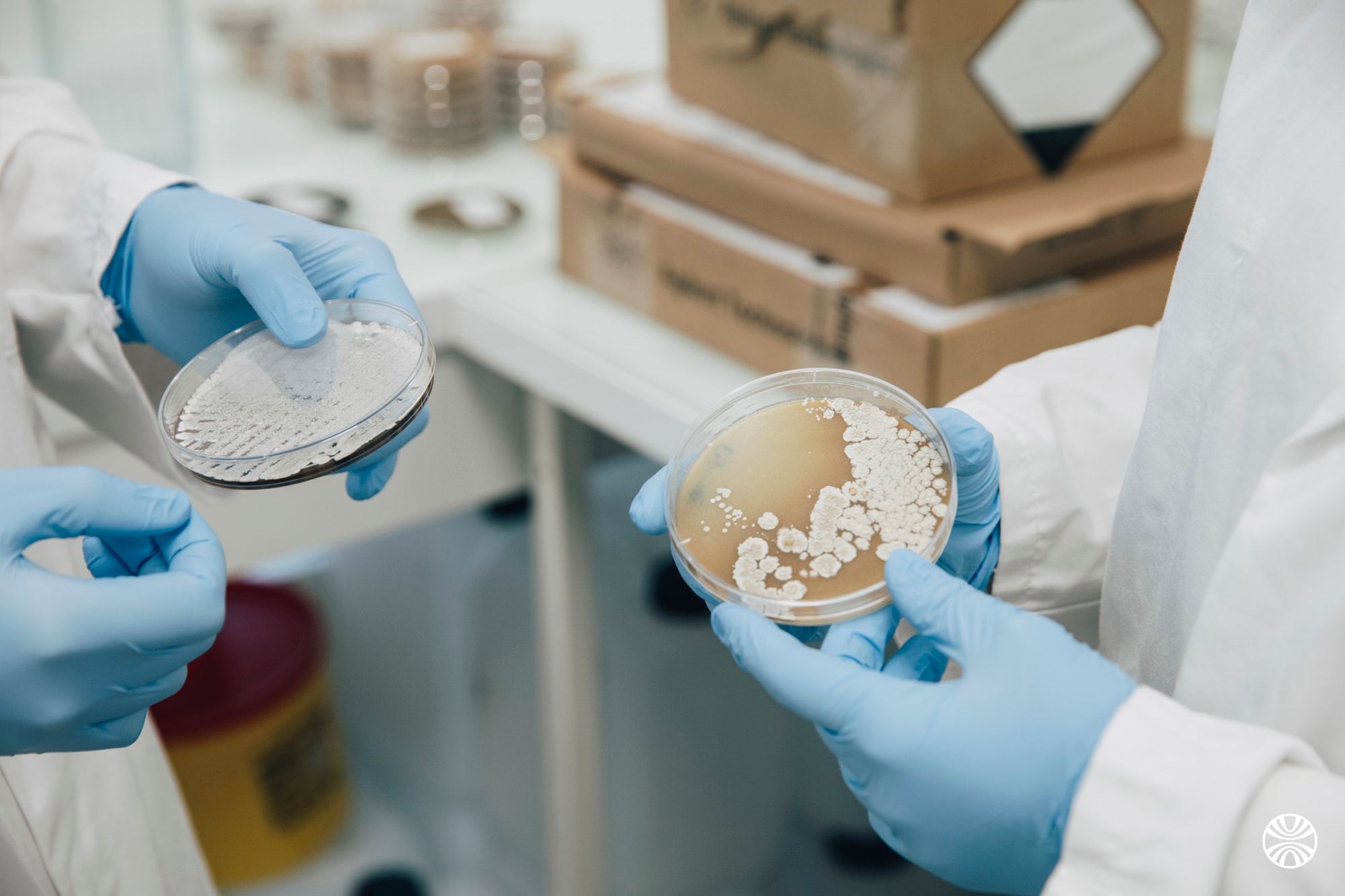 Generare Bioscience Bets Big on AI to Uncover New Drugs