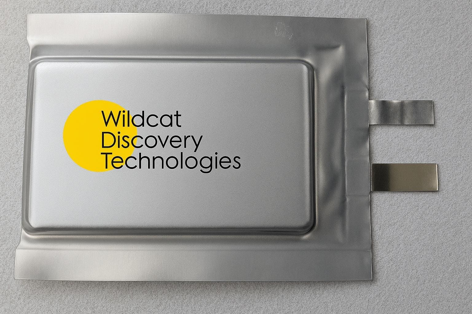 Holyvolt Accelerates Battery Innovation with $73M Wildcat Acquisition