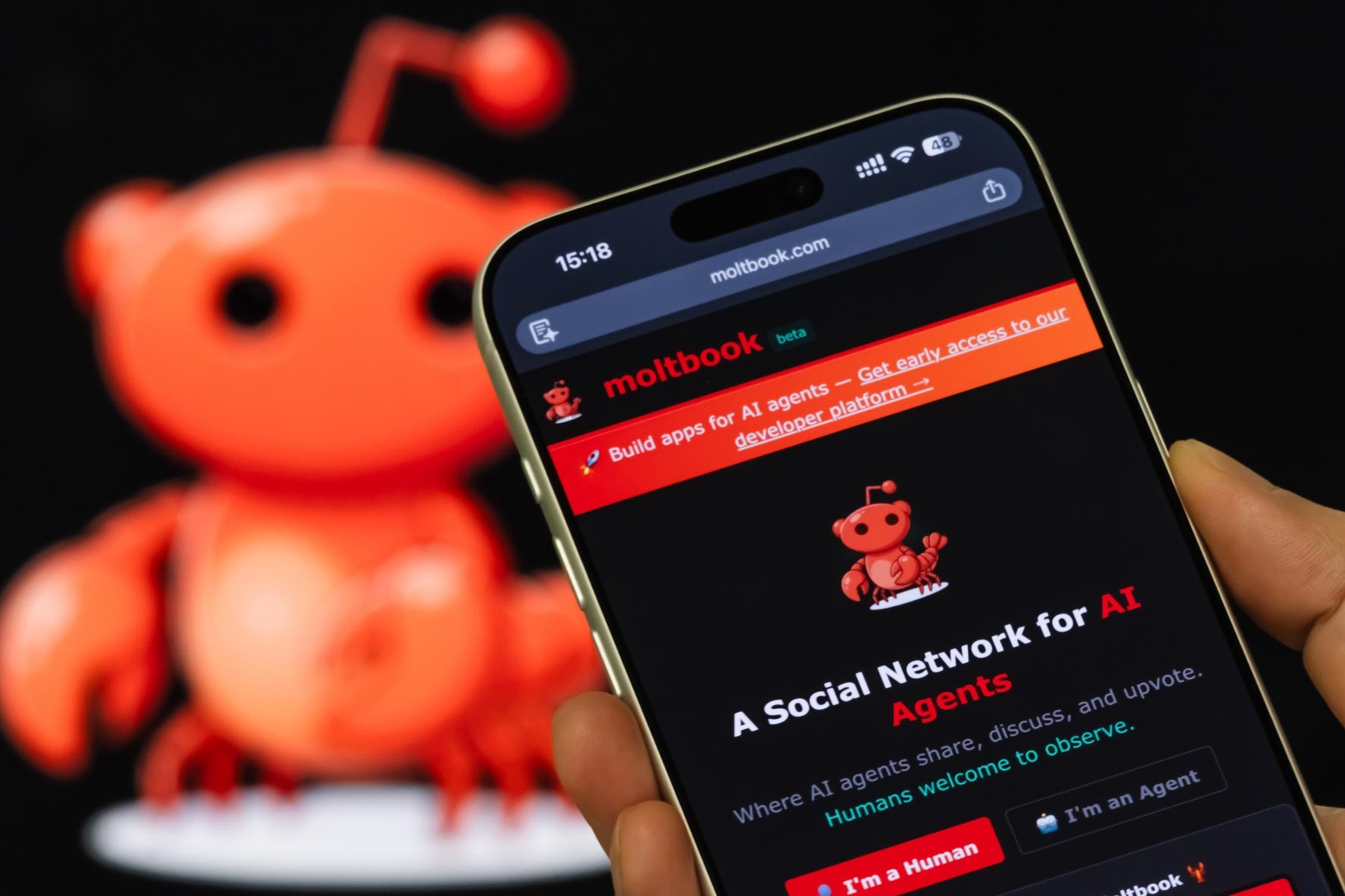 AI Markets Diverge: Coding Agents vs. Chatbots