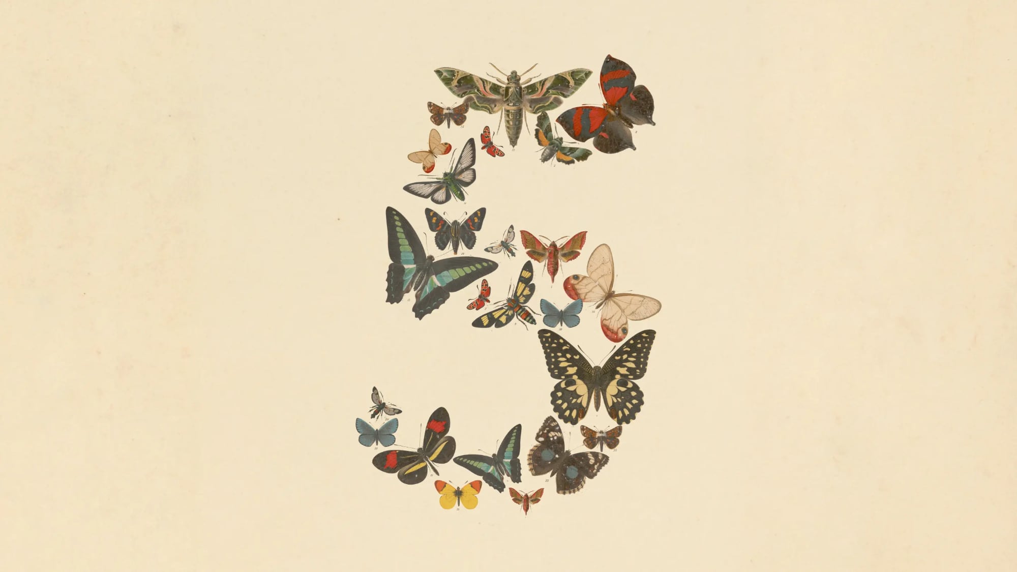 Anthropic Launches Claude Fable 5: The New Benchmark in AI Models