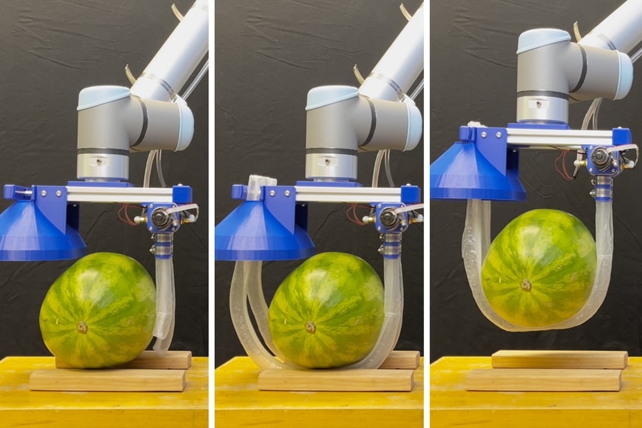 Vine-Inspired Robots: The Future of Gentle Lifting