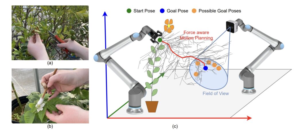 Robots in Agriculture: Making Pollination an Automated Reality